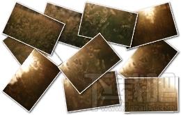 CleanFlashPlayer,Flash.